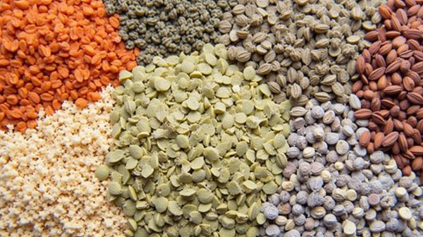 Les épices : incontournables pour une cuisine saine et savoureuse